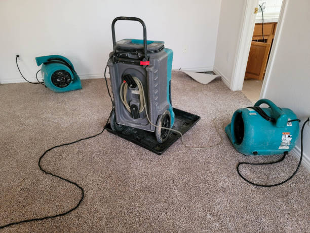Best Commercial water damage restoration  in Baxter Village, SC