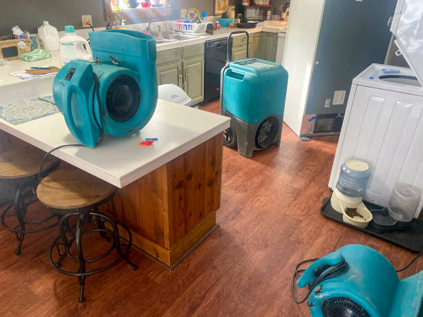 Best Water damage contractors near me  in Baxter Village, SC