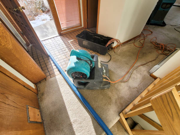 Best Water damage restoration near me  in Baxter Village, SC