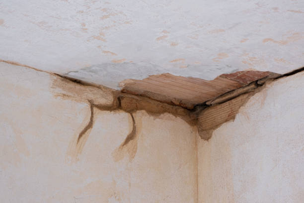Best Sewage cleanup and water damage restoration  in Baxter Village, SC