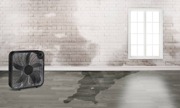 Best Residential water damage restoration  in Baxter Village, SC