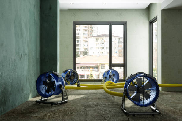 Water damage restoration experts in SC